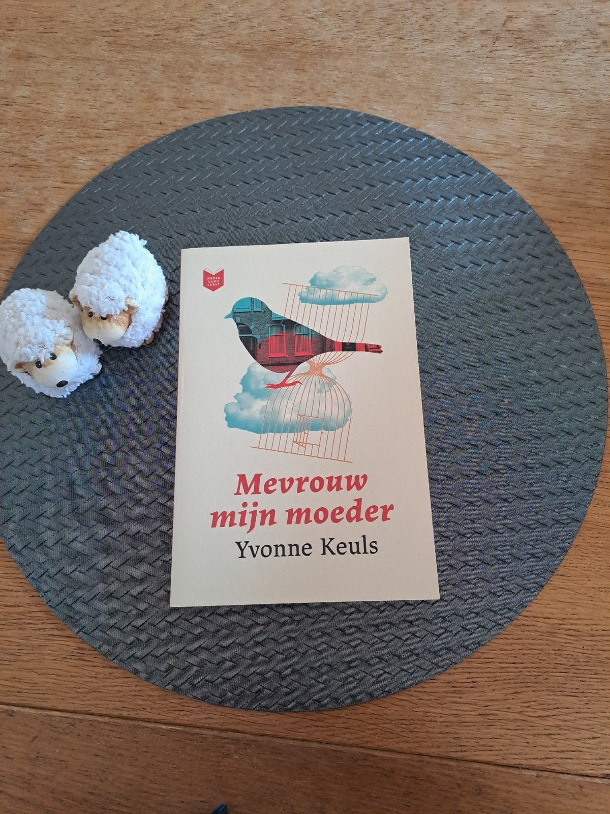 Mevrouw mijn moeder - Yvonne Keuls (Gelezen), Ophalen of Verzenden, Gelezen, Yvonne Keuls, Nederland