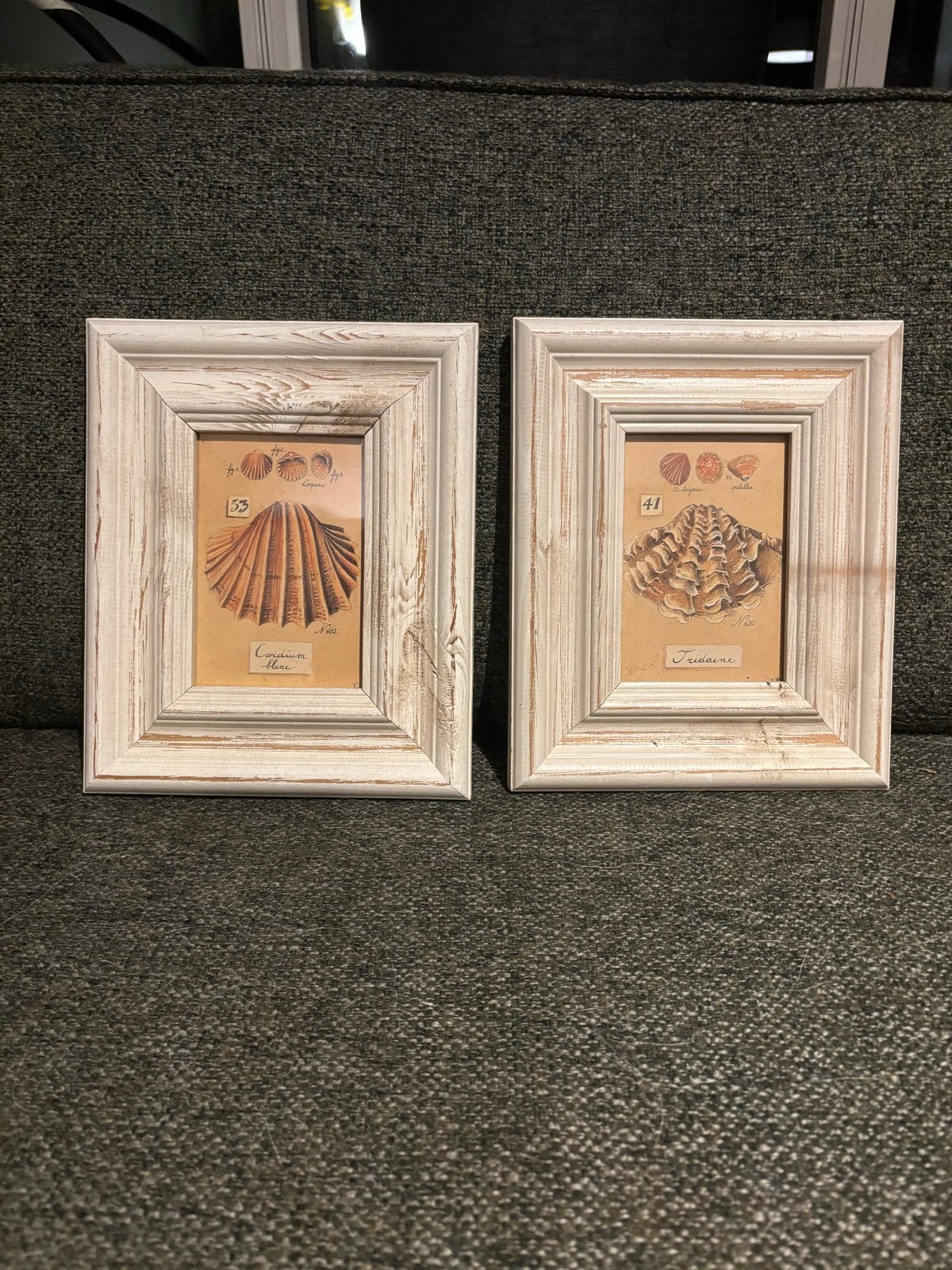 Set van 2 fotolijsten met schelpenafbeeldingen, Gebruikt, Ophalen of Verzenden, Fotolijst, Met afbeelding
