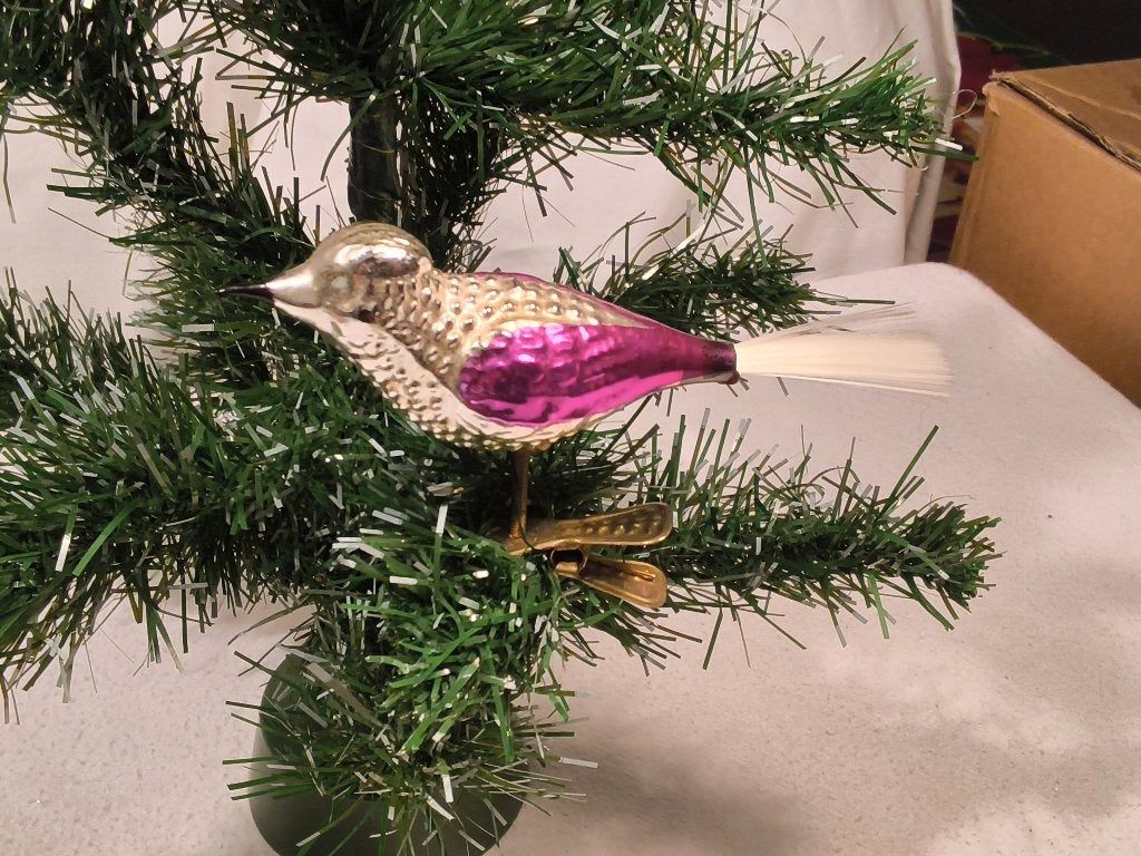 Prachtige mooie oude vogel., Ophalen of Verzenden, Zo goed als nieuw