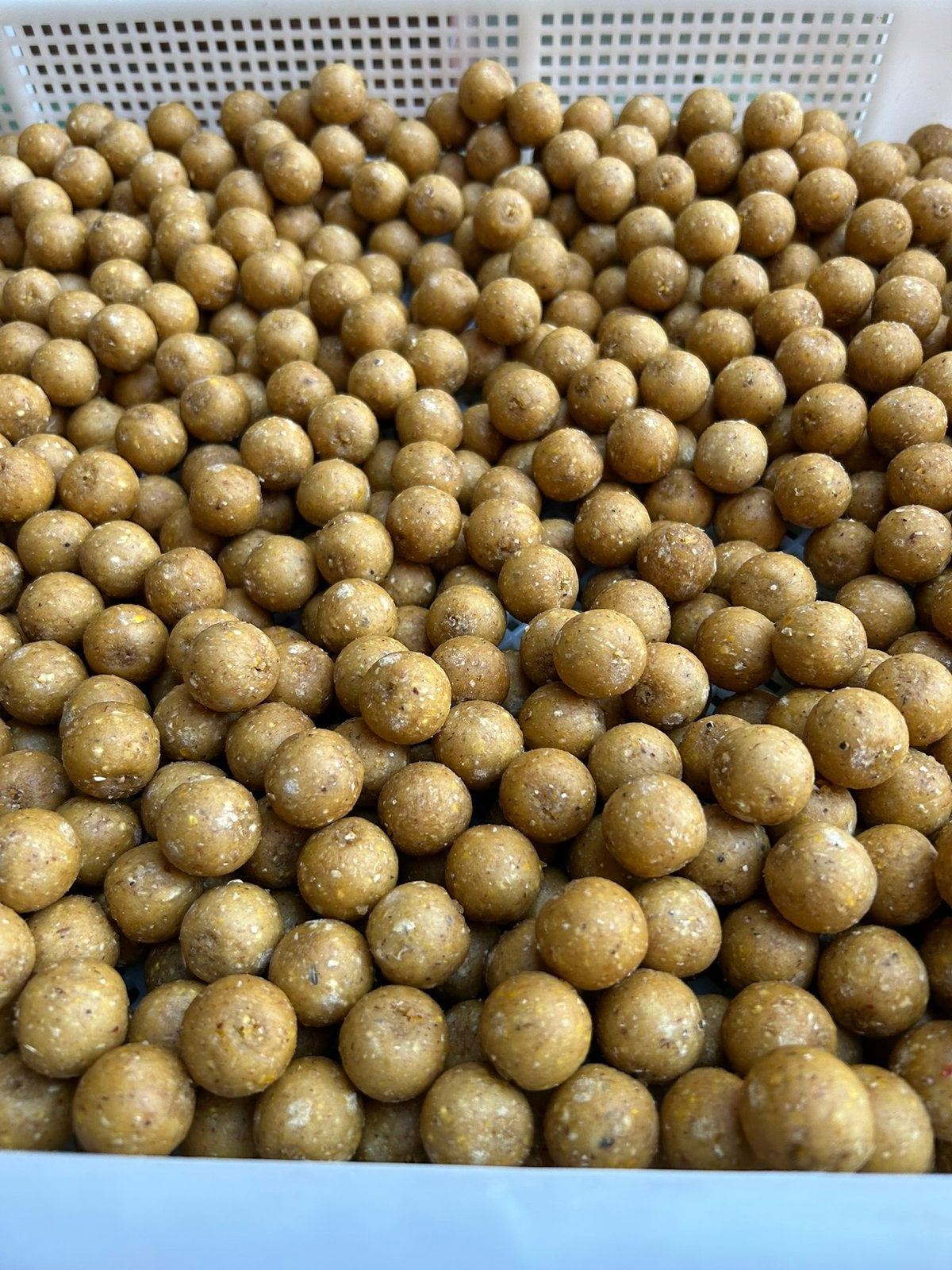 Nutz & hemp boilie, Watersport en Boten, Ophalen of Verzenden, Nieuw, Overige typen