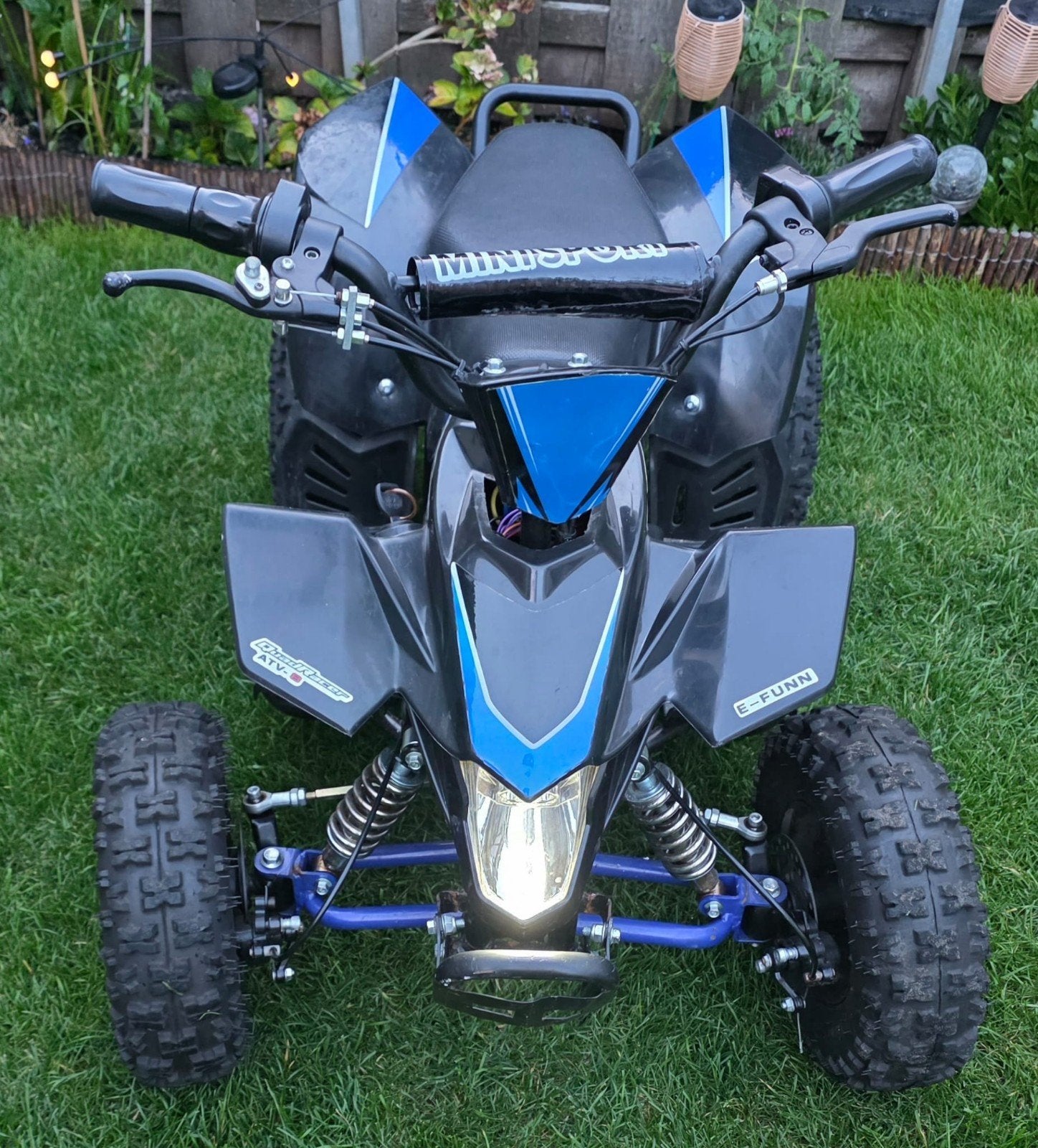 36V 800W Elektrische Kinderquad met Lader, Kinderen en Baby's, Speelgoed | Buiten | Accuvoertuigen, Ophalen, Zo goed als nieuw