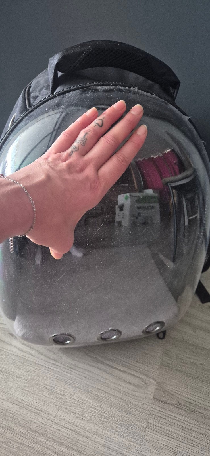 Astronautenrugzak voor de kat, Dieren en Toebehoren, Ophalen, Nieuw