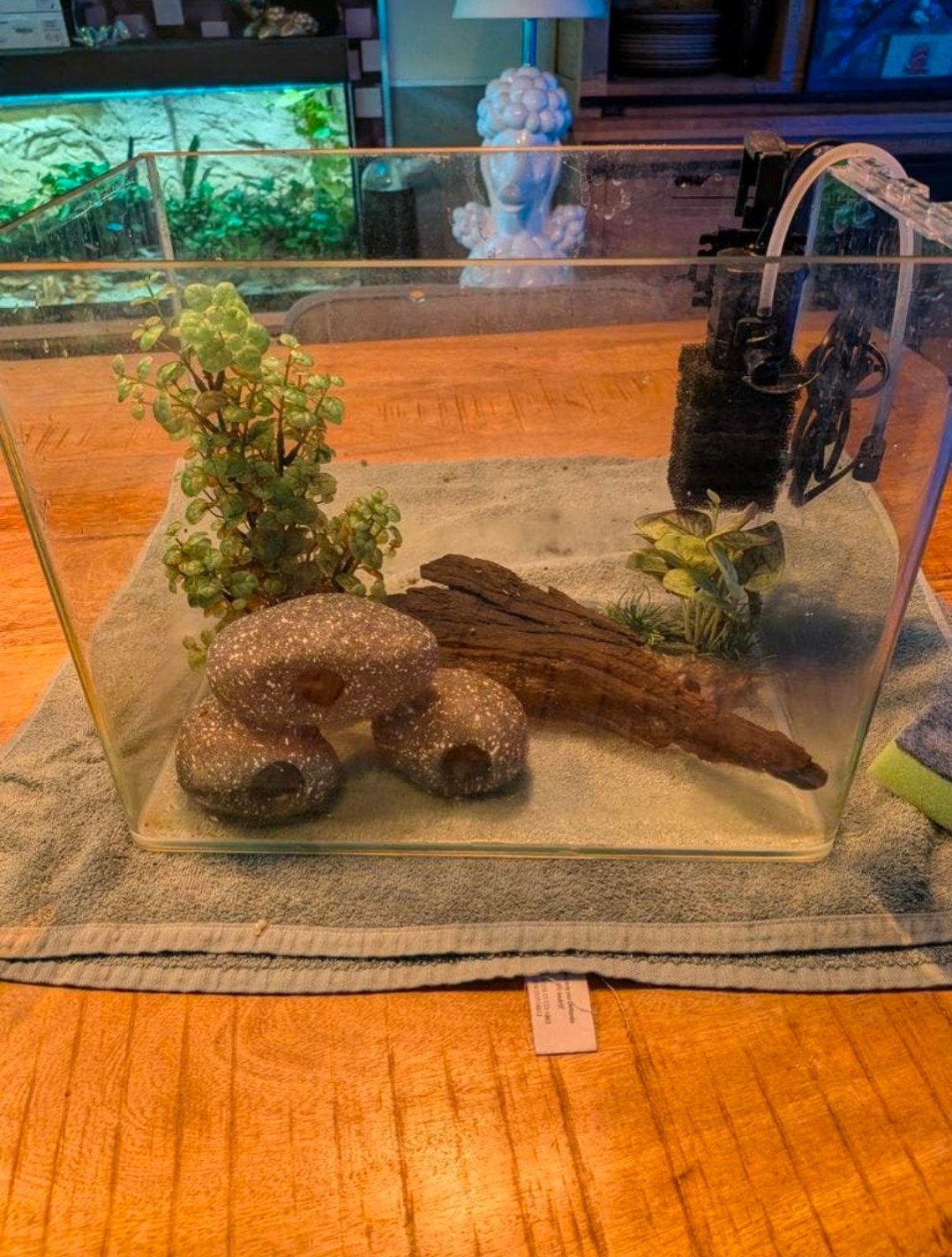 garnalen kweekbak met Pat Minifilter, Dieren en Toebehoren, Ophalen, Leeg aquarium