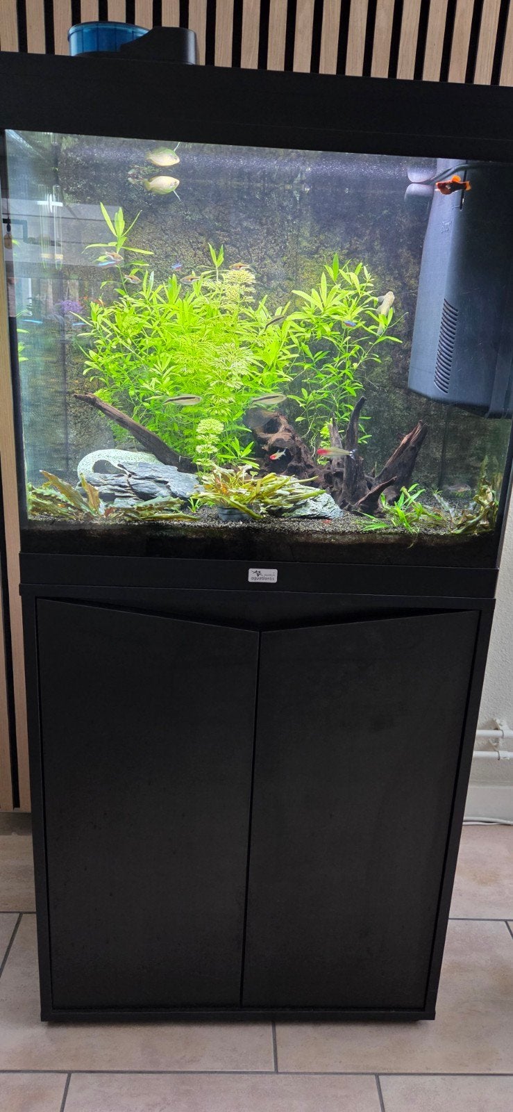 aquatlantis aquarium met onderkast, Ophalen, Aquatlantis, Aquariummeubel, Zo goed als nieuw