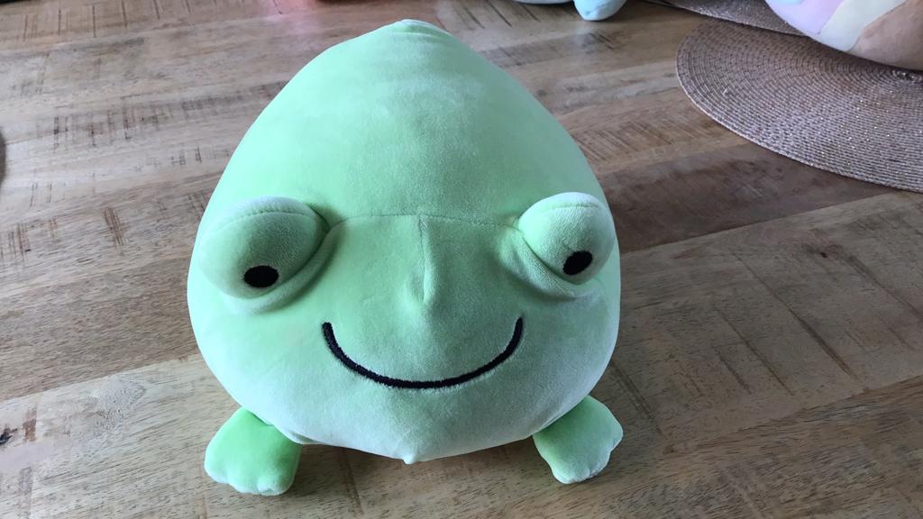 Knuffel Miniso kikker zacht, Kikker, Groen, Ophalen of Verzenden, Zo goed als nieuw