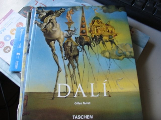 salvador dali, Ophalen of Verzenden, Zo goed als nieuw, Schilder- en Tekenkunst