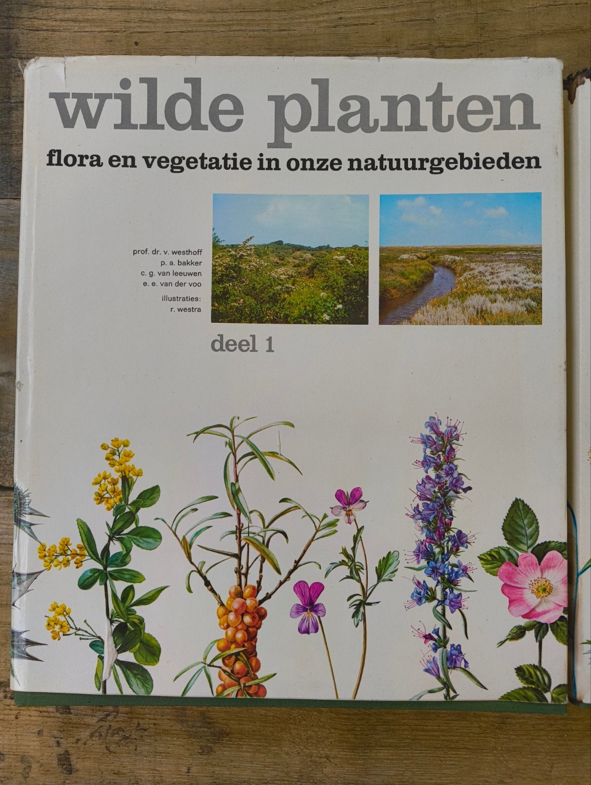 wilde planten - flora en vegetatie in onze natuurgebieden, Ophalen of Verzenden, Gelezen, Bloemen, Planten en Bomen