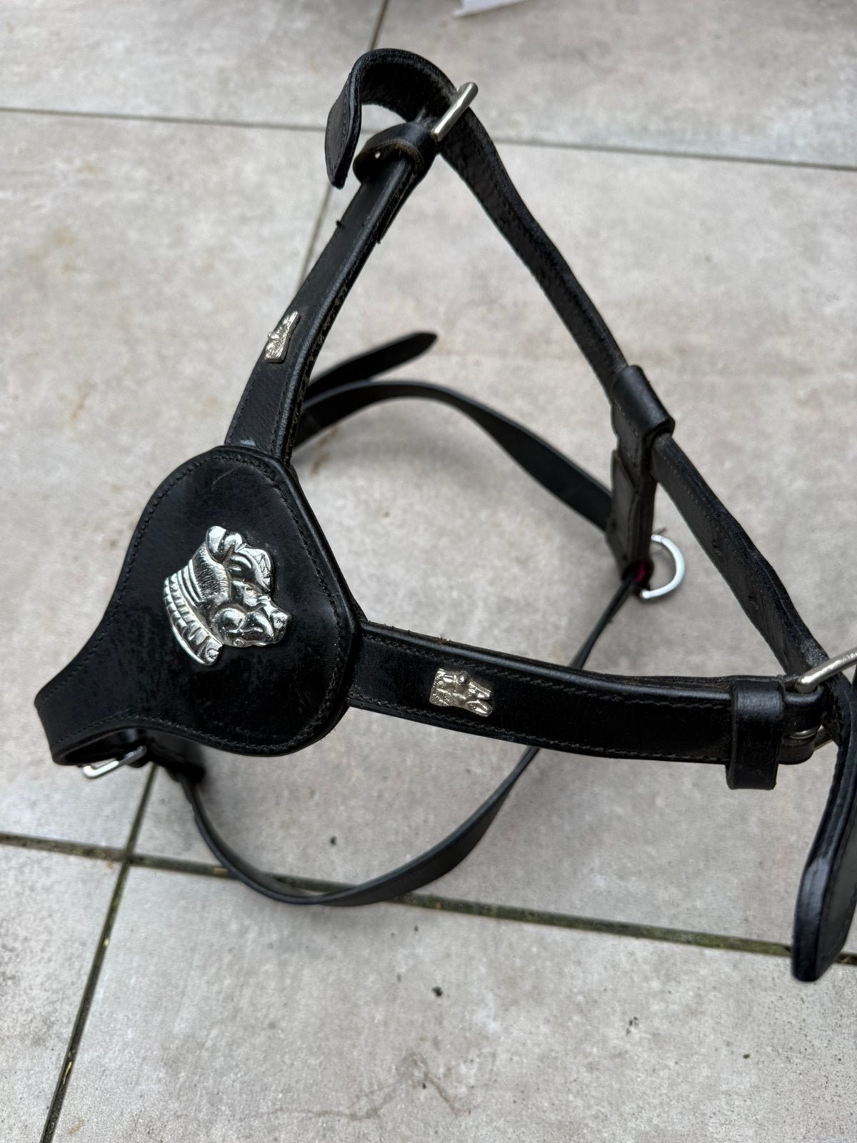 Hondentuig & hondenjasje/dekje, Ophalen of Verzenden, Gebruikt, Hondenriem-accessoire