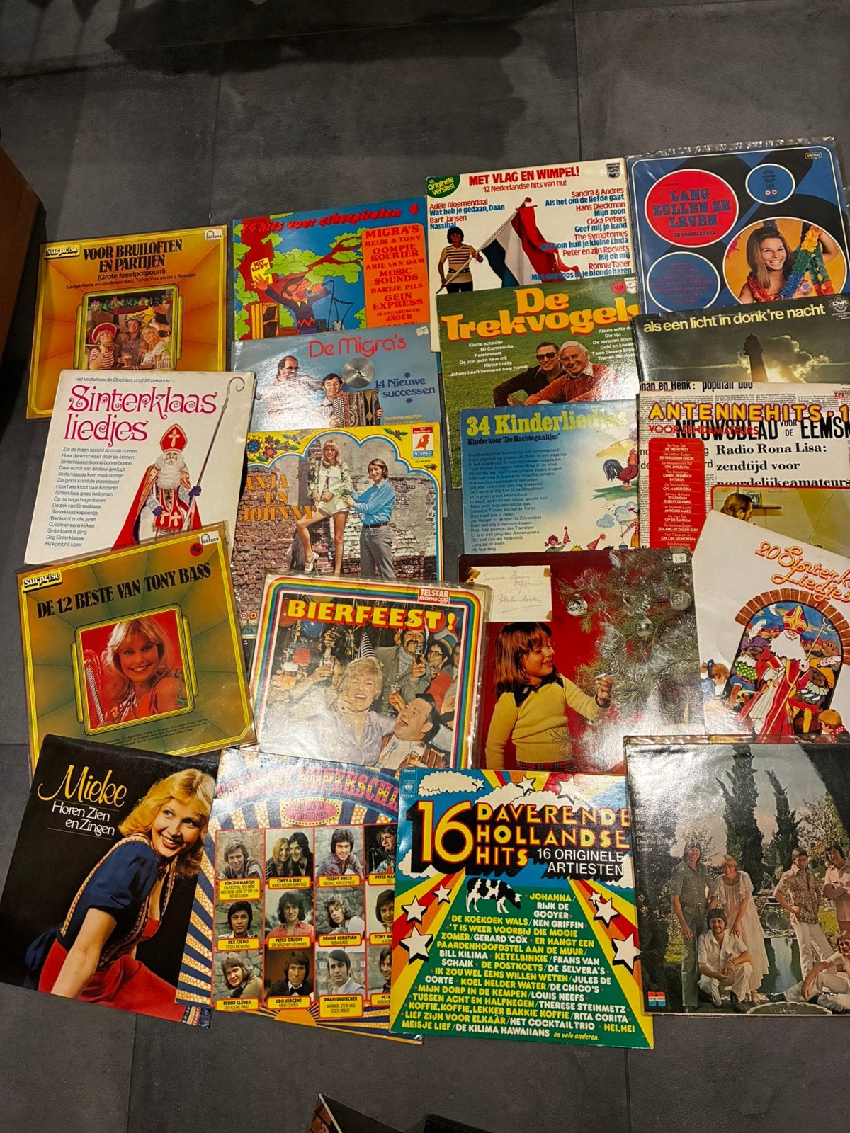 Partij piraten lp’s, Ophalen, Zo goed als nieuw, 12 inch, Levenslied of Smartlap