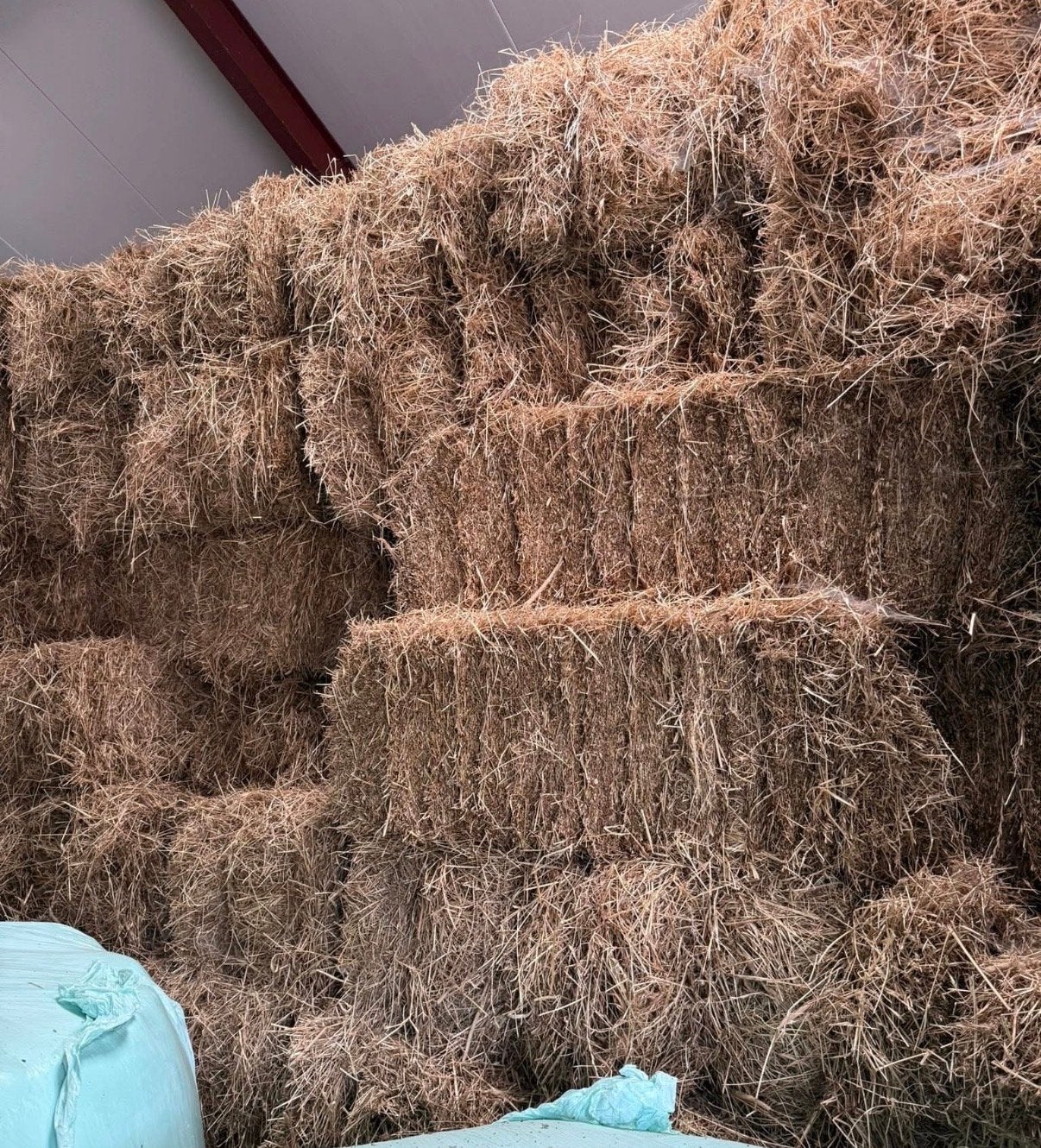 Mooi onkruidvrij hooi 2025 - paardenmengsel gras, Ophalen, Vee