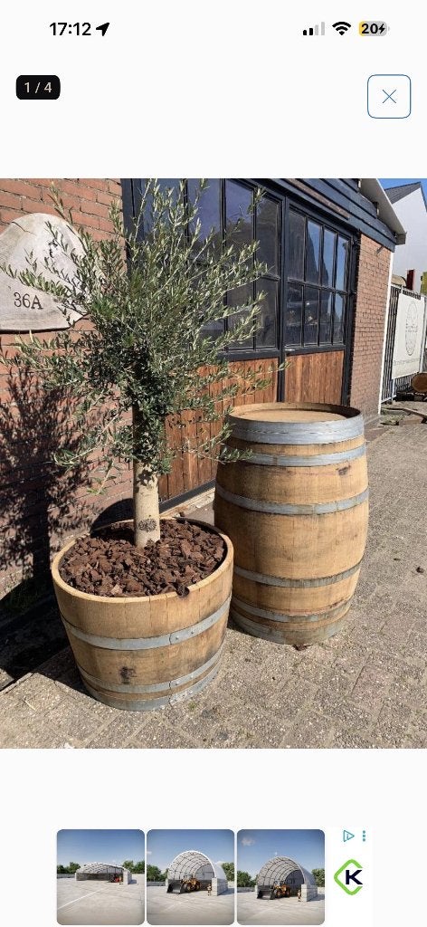 Prachtige wijnvaten/bloembakken, Rond, Ophalen of Verzenden, Zo goed als nieuw, 60 tot 100 cm