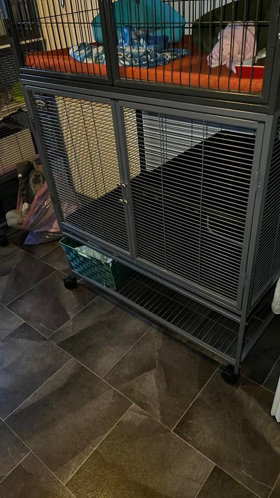Ferret nation fretten kooi, Ophalen, Kooi, Zo goed als nieuw, 90 cm of meer