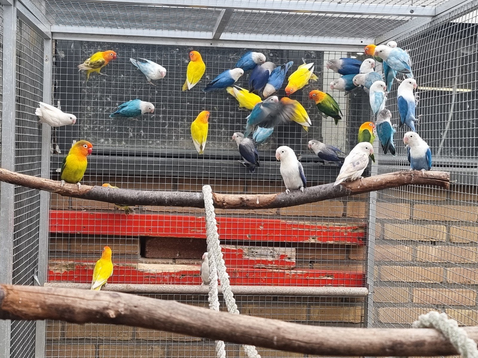 Fischerie
