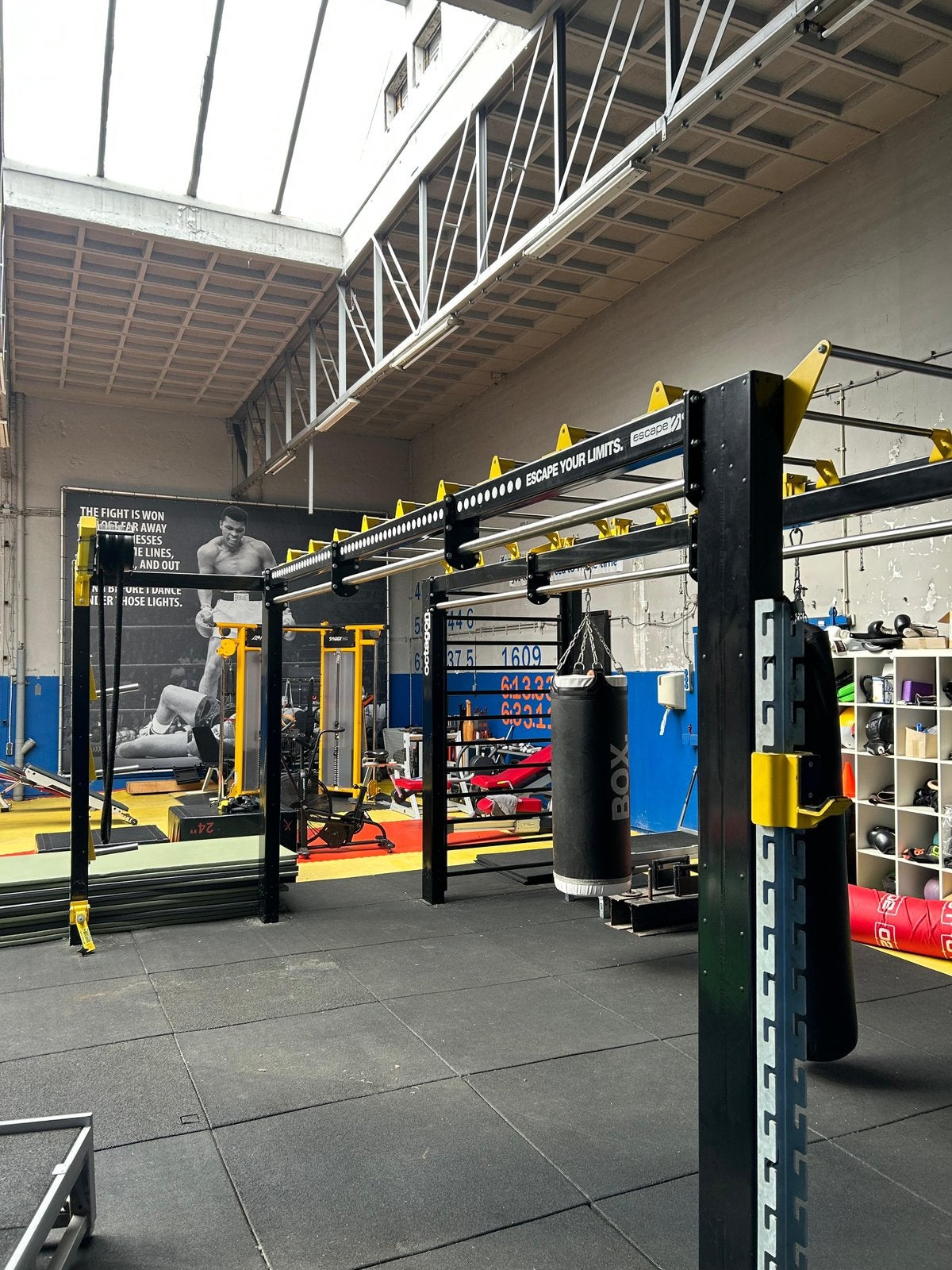 Escape octagon multifunctioneel squat rek, Ophalen, Gebruikt, Rek, Octagon