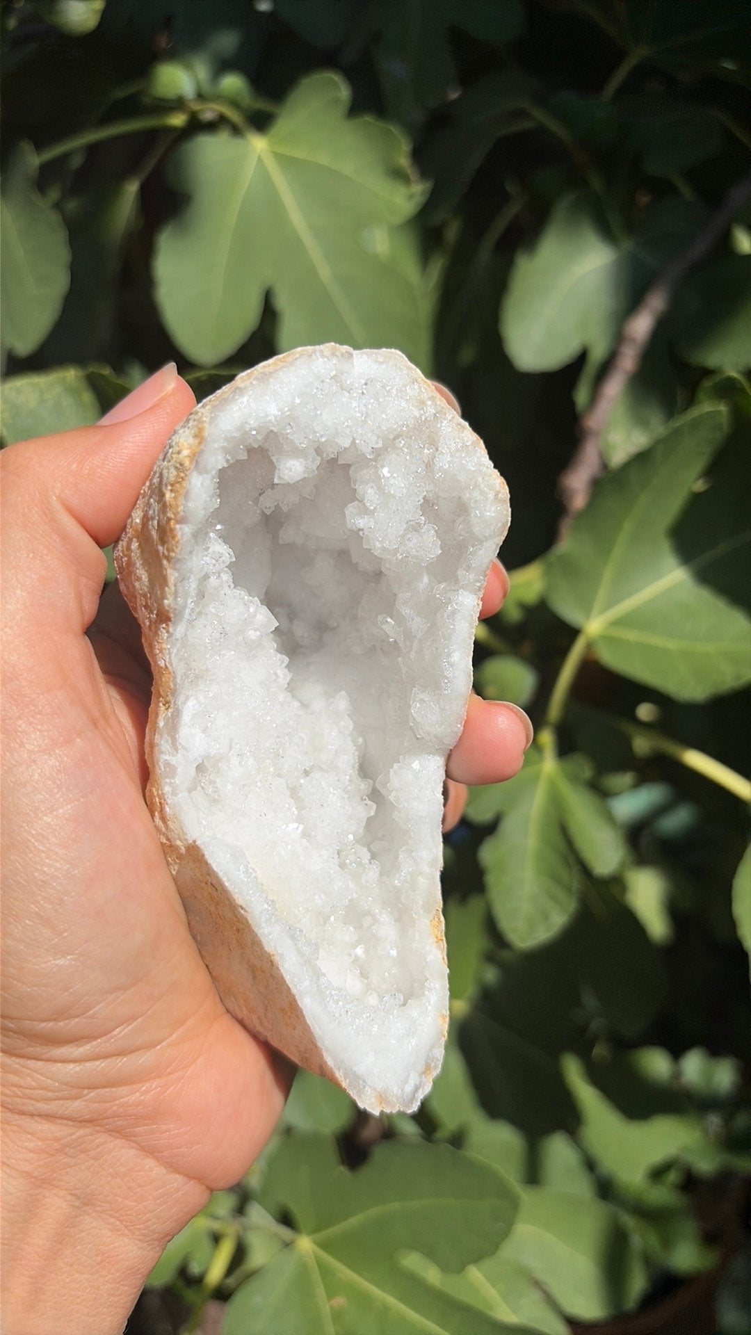 Bergkristal grote geode, Verzamelen, Mineralen en Fossielen, Ophalen, Mineraal