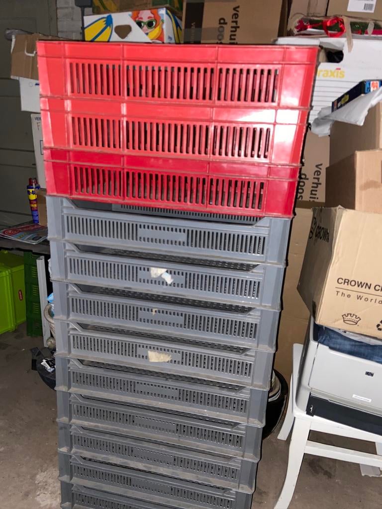 13 Lage kratjes fruit kistjes groentekrat, Ophalen of Verzenden, Minder dan 50 cm