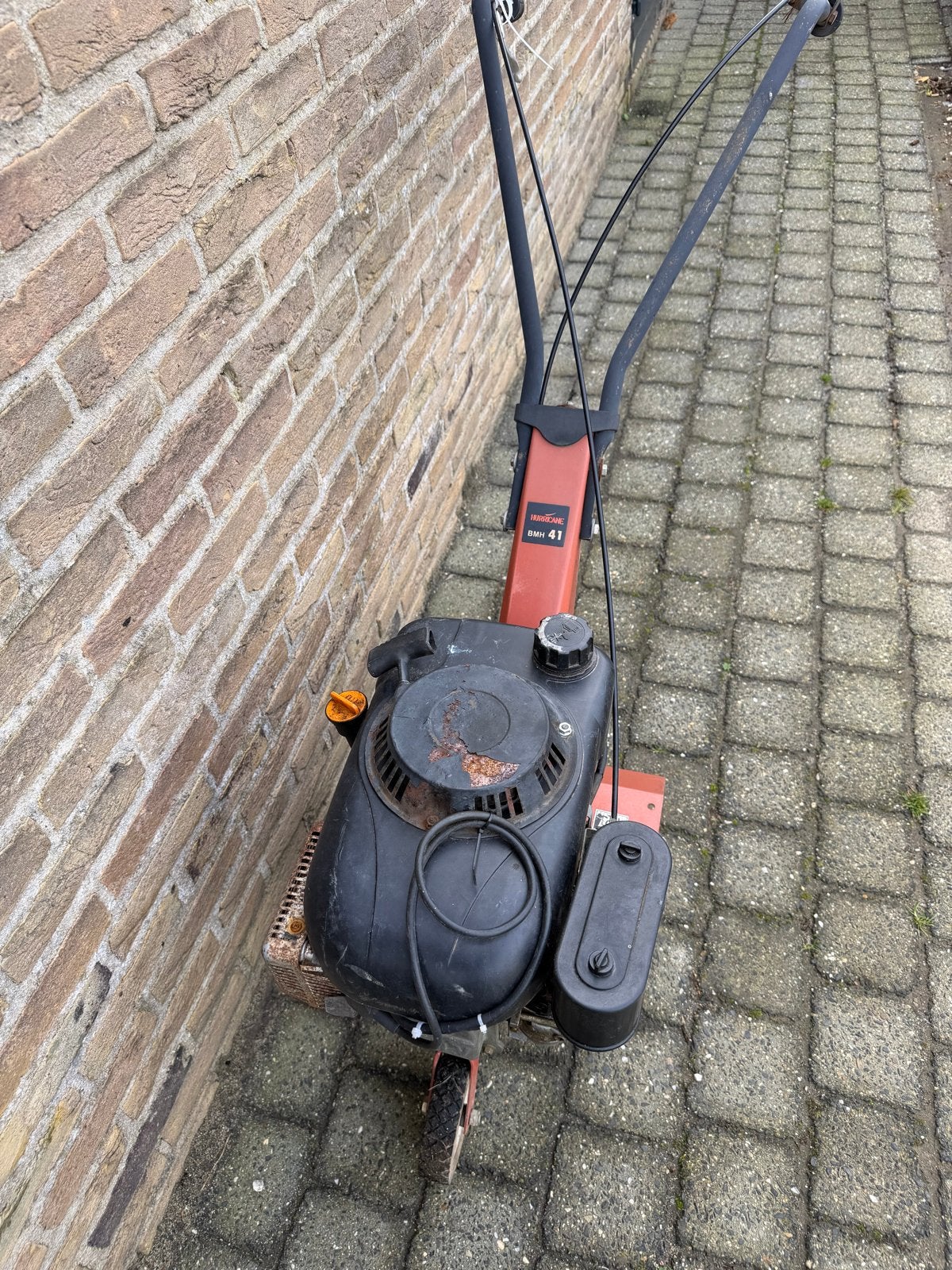 Tuinfrees met werk voor de hobbyist, Tuin en Terras, Ophalen, Gebruikt