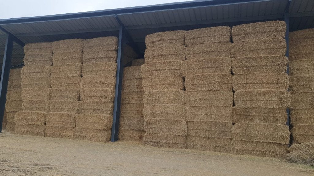 Tarwestro | Gerstestro | Koolzaadstro GMP+, Dieren en Toebehoren, Dierenvoeding, Ophalen, Vee