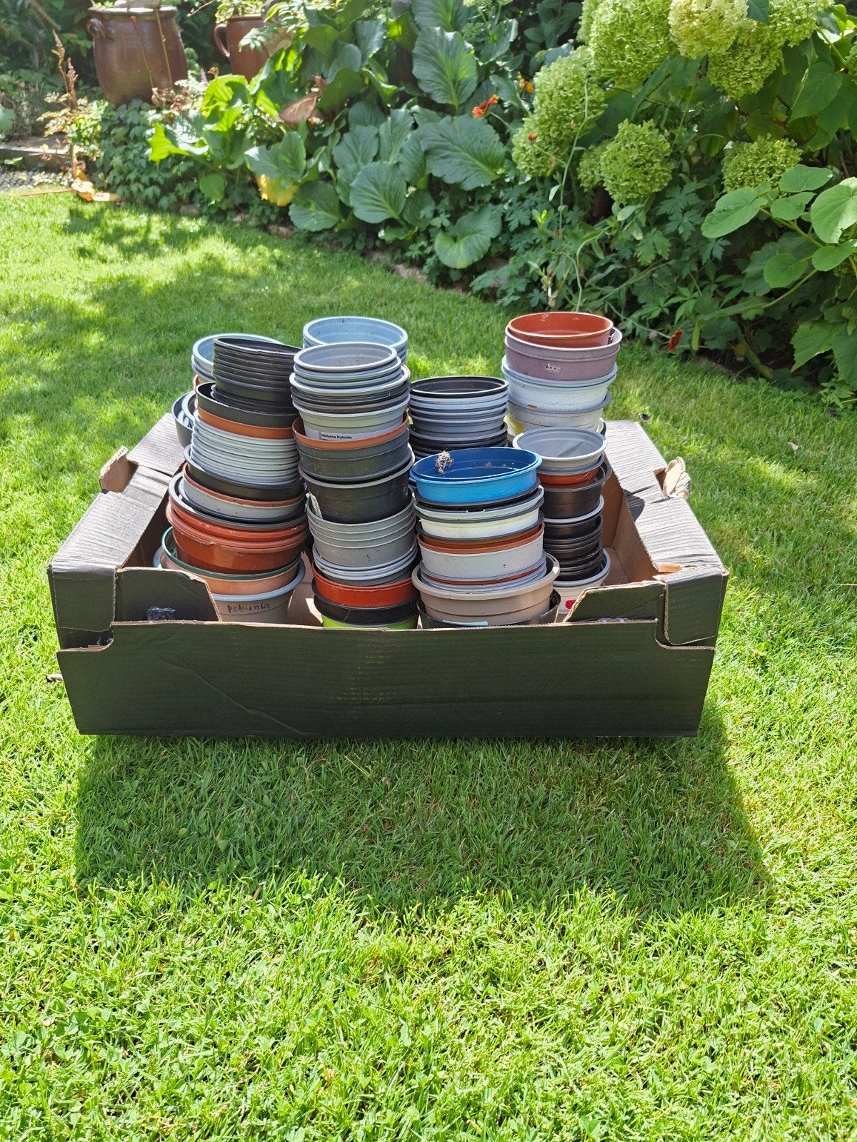 stapel plastic bloembakjes, Tuin en Terras, Bloembakken en Plantenbakken, Ophalen, Rond, Kunststof, Minder dan 30 cm