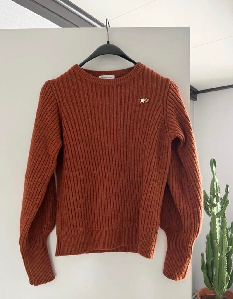 Fabienne Chapot Trui XS Oranje Ribgebreid met Sterren, Kleding | Dames, Ophalen of Verzenden, Gedragen, Maat 34 (XS) of kleiner