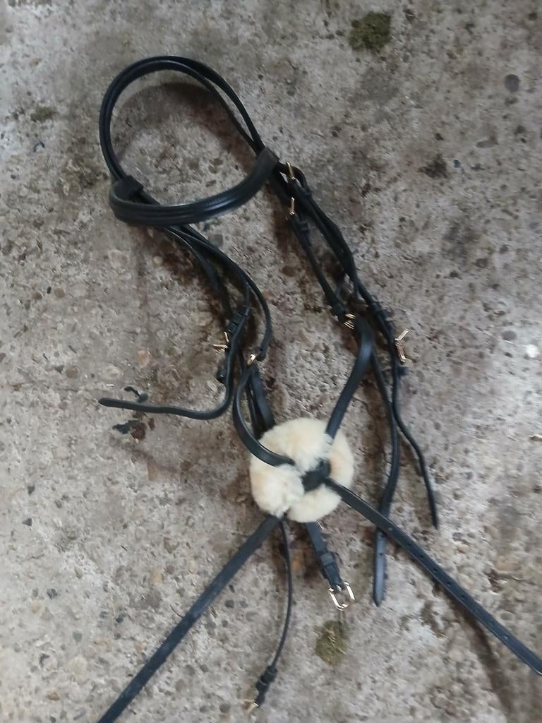 Paarden benodigheden, Dieren en Toebehoren, Ophalen, Overige soorten