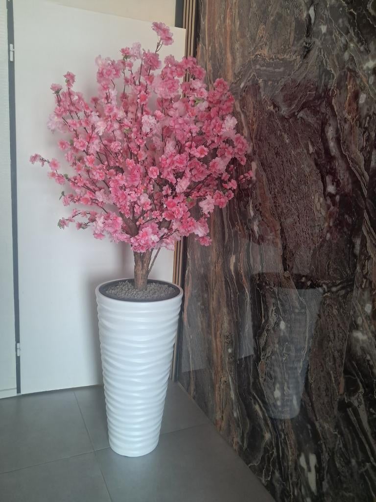 Roze bloesemboom afgeprijsd, Ophalen