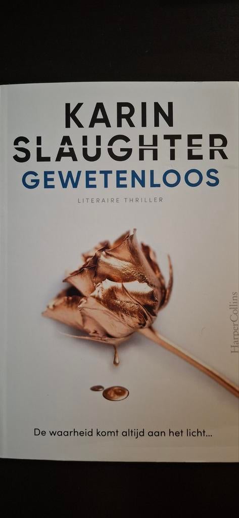 Nieuw Karin Slaughter-Gewetenloos., Ophalen, Nieuw, Karin Slaughter, Amerika