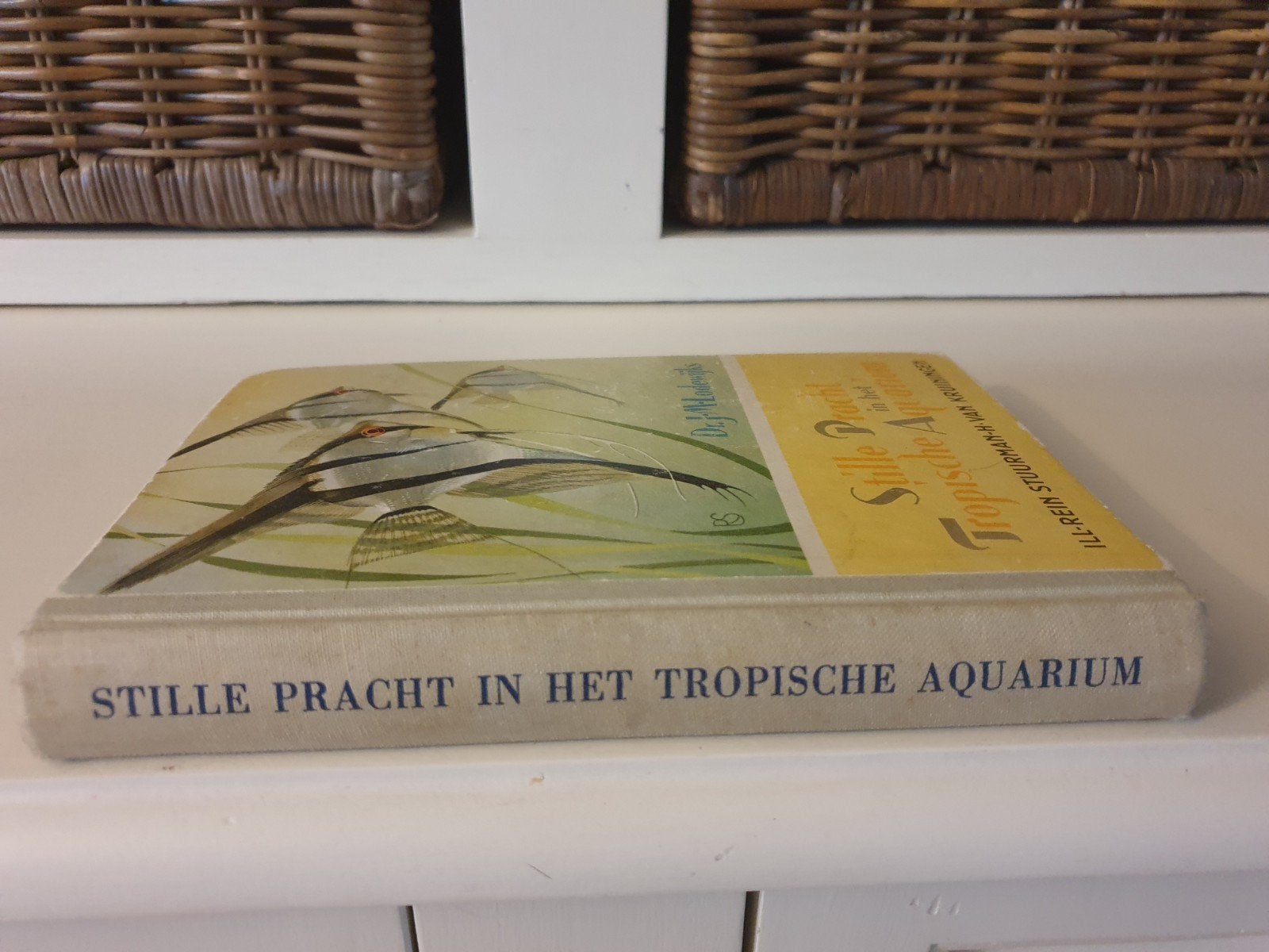Dr J.M Lodewijks - Stille pracht in het tropische aquarium, Ophalen of Verzenden, Gelezen