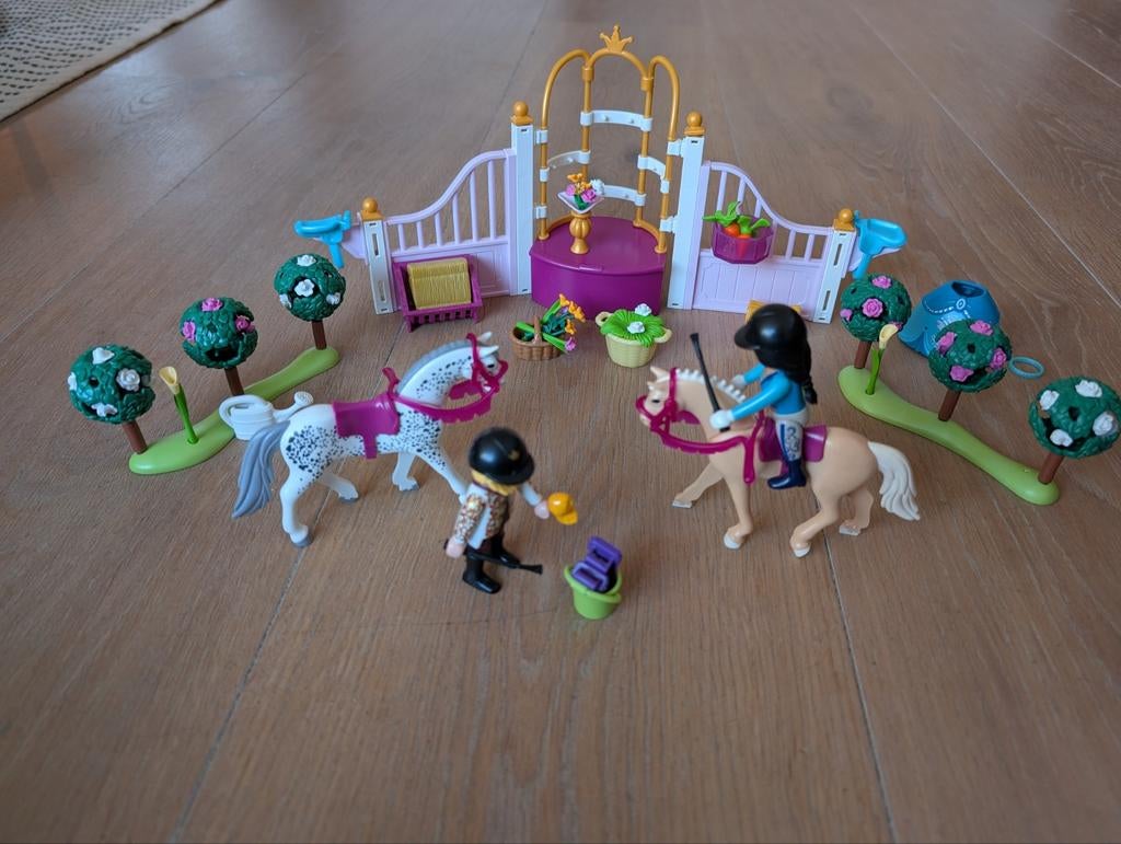 PLAYMOBIL Princess Paardrijlessen - 70450, Ophalen of Verzenden, Zo goed als nieuw