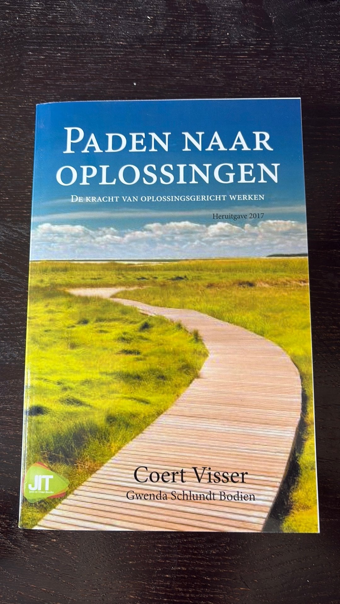 Coert Visser - Paden naar oplossingen (heruitgave 2017), Boeken, Ophalen of Verzenden, Zo goed als nieuw, Coert Visser; Gwenda Schlundt Bodien