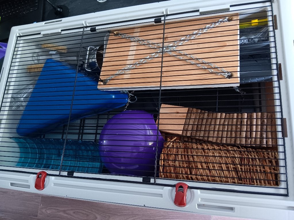 Rattenkooi, Dieren en Toebehoren, Ophalen, Gebruikt, 60 tot 90 cm, 75 tot 110 cm