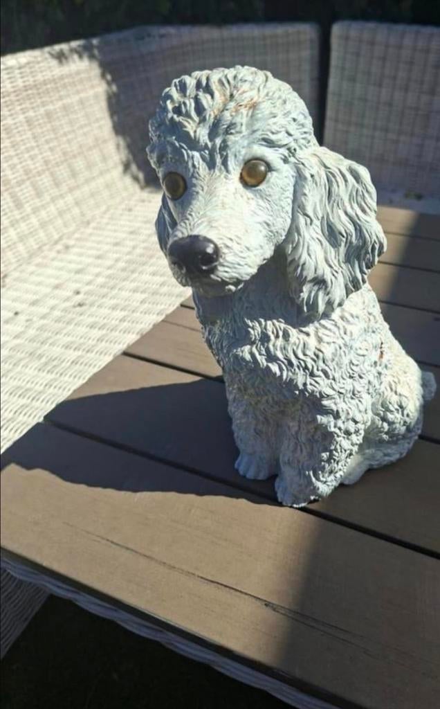 Decoratieve Poedel Beeld - Tuin of Binnen, Ophalen, Overige stijlen, Zo goed als nieuw, Grijs