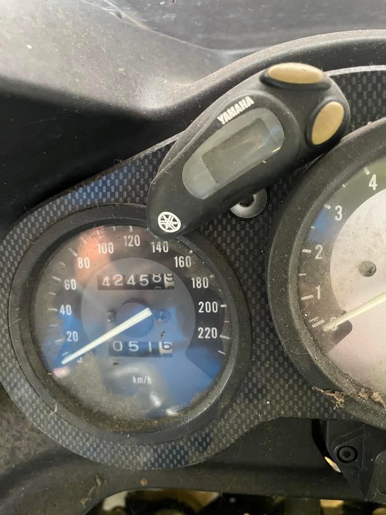 Yamaha TDM 850, Particulier, Toermotor