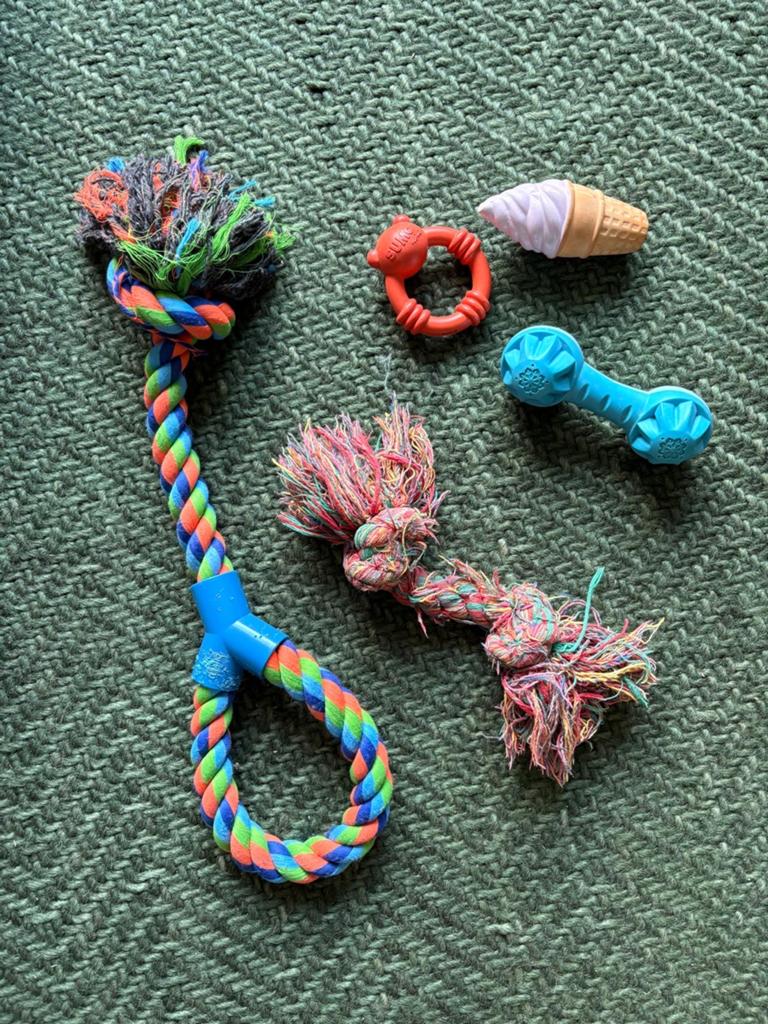 Hondenspeeltjes, Dieren en Toebehoren, Ophalen of Verzenden