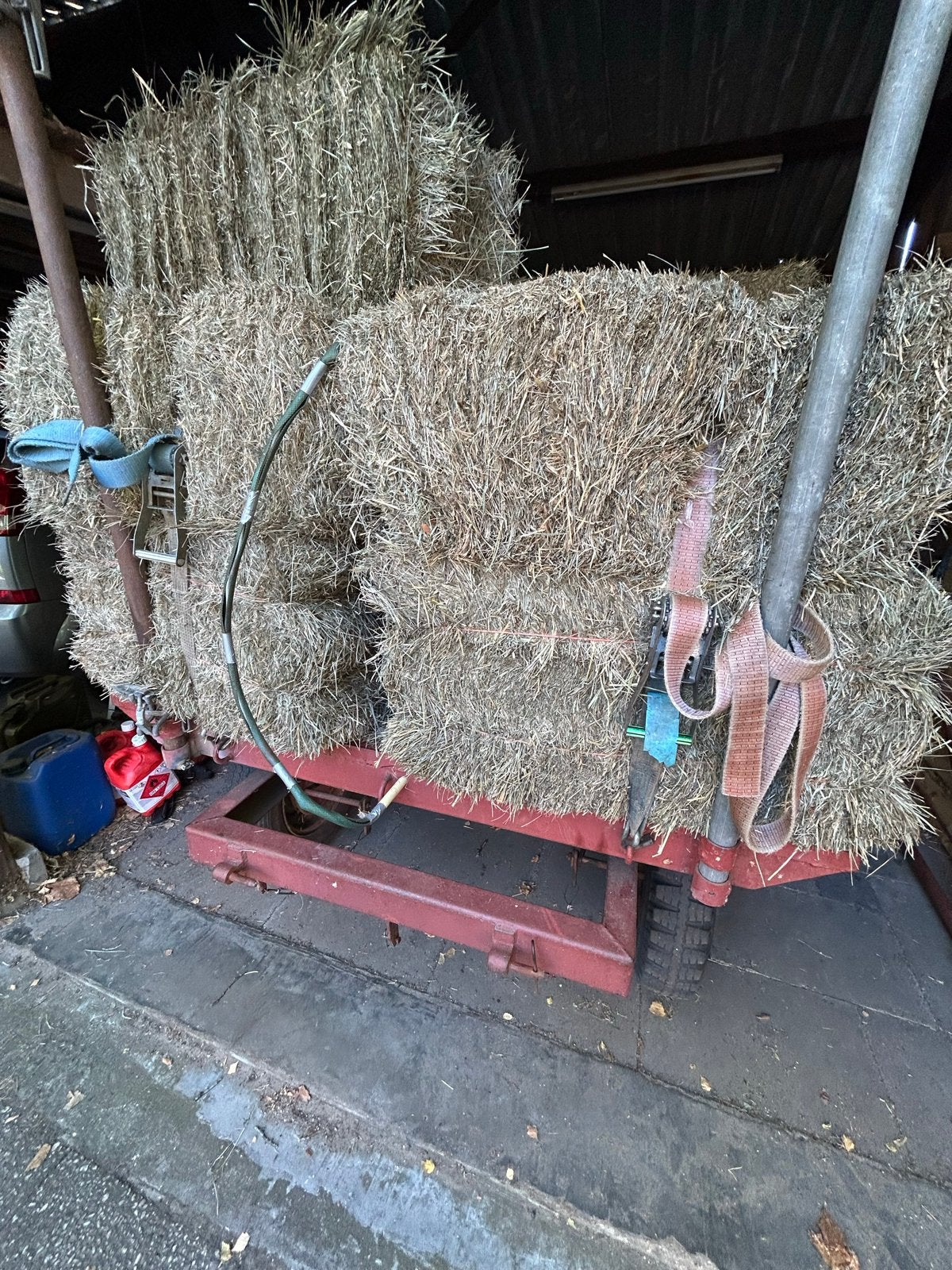 50 balen hooi te koop, Ophalen, Vee