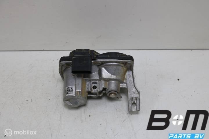 Klep in uitlaat VW Golf 8 3Q0253691K, Auto-onderdelen, Gebruikt