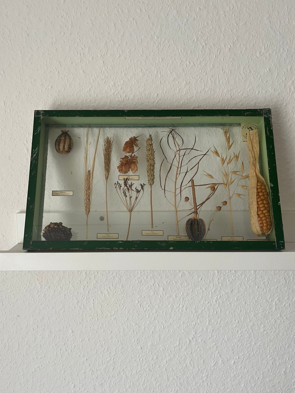 Vintage educatief leermiddel "Landbouwgewassen", Ophalen