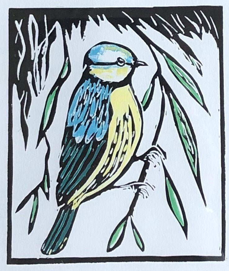 Linodruk (kleuren) van Pimpelmees, Origineel, Ophalen of Verzenden, Dieren en Natuur, Linosnede
