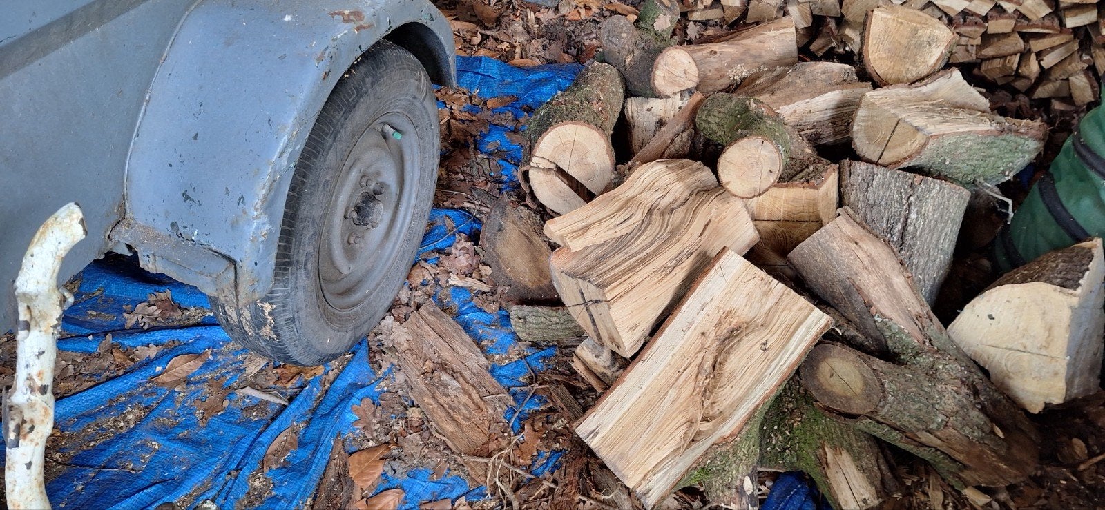 haardhout., Minder dan 3 m³, Ophalen, Eikenhout, Stammen