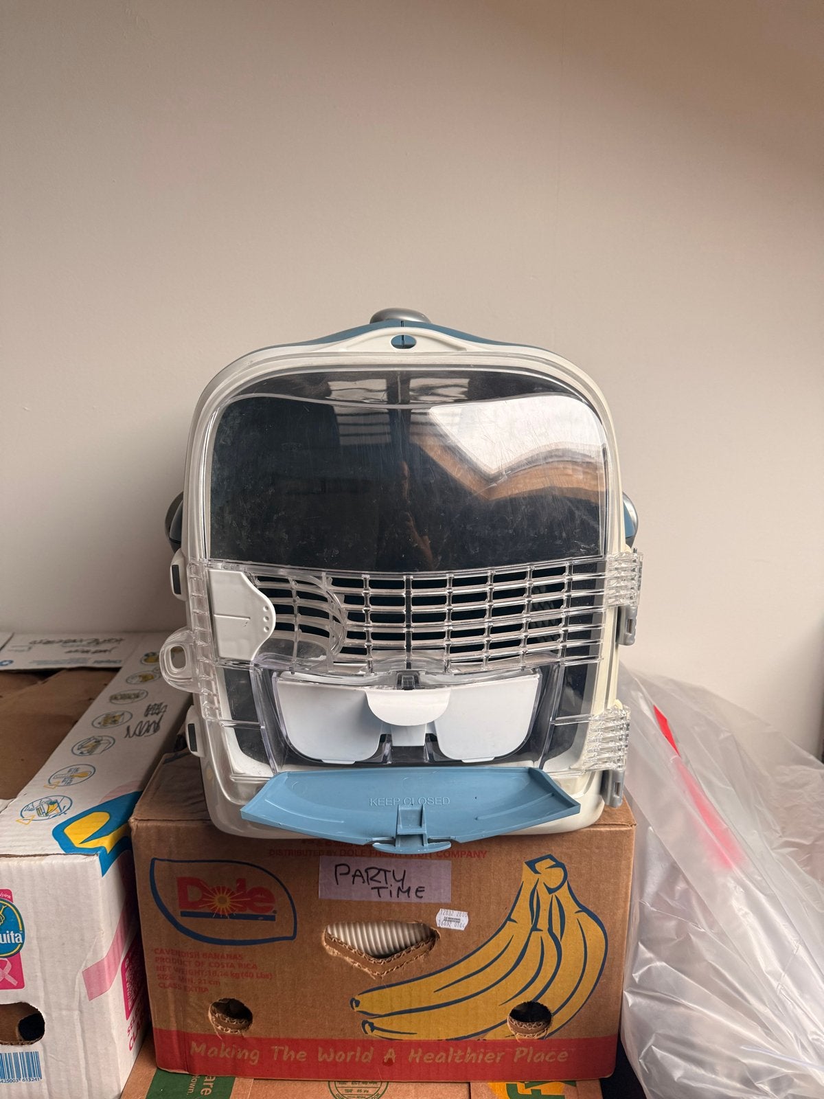 Vervoers/transportbox kat, Ophalen of Verzenden, Zo goed als nieuw