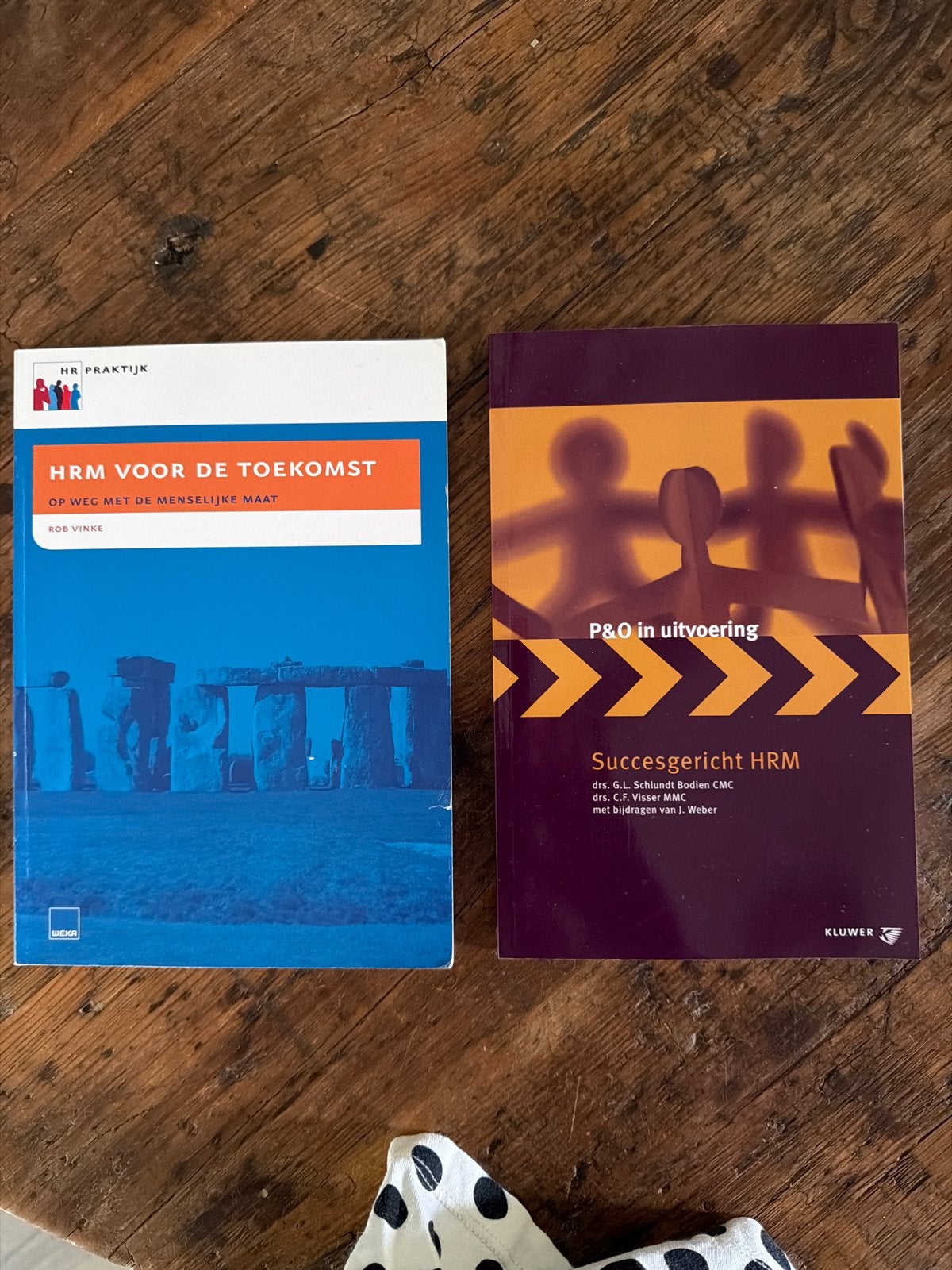 2 Boeken: HRM voor de Toekomst & P&O in uitvoering, Boeken, Ophalen of Verzenden, Gamma, Gelezen, HBO