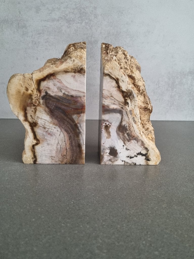 Boekensteunen van versteend hout, Ooststraat 13, Kapelle, Overige materialen, Dorcas Kapelle, Ophalen of Verzenden