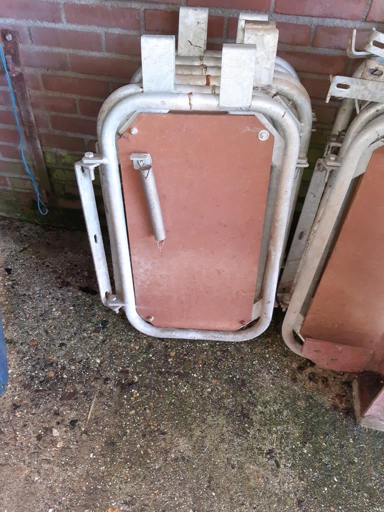 Dekpoorten varkens