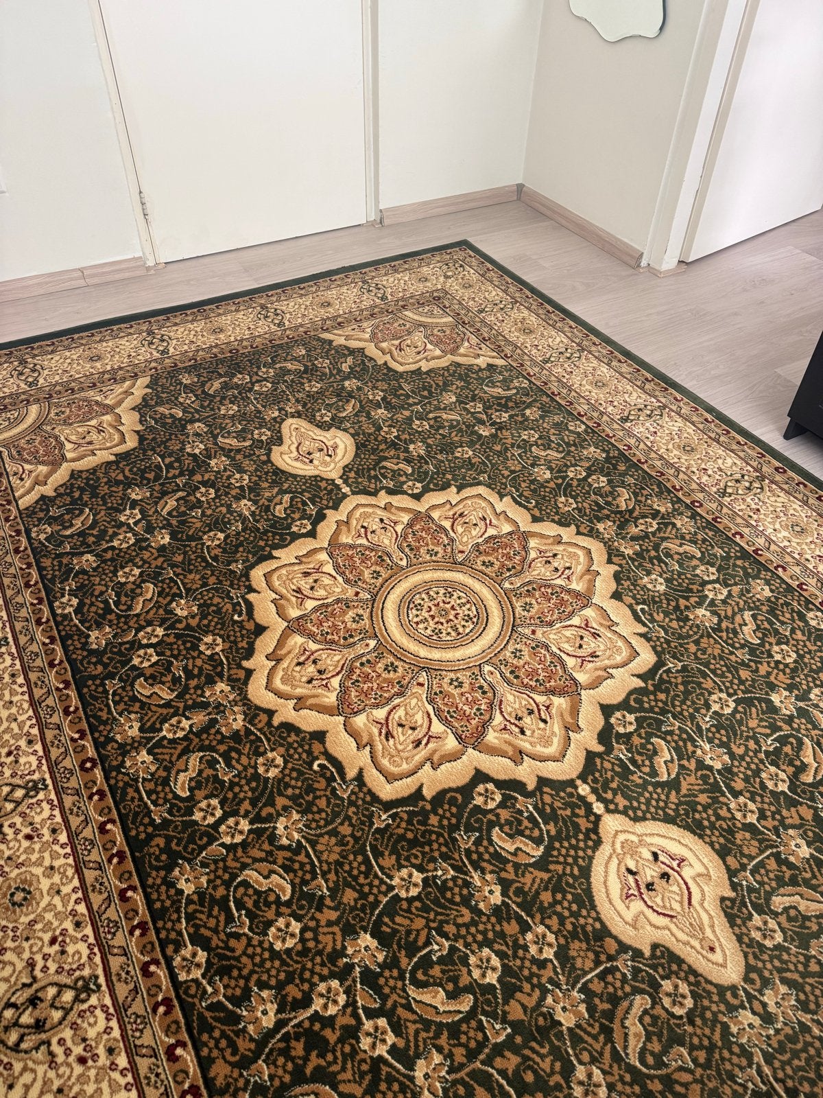 Zo goed als nieuw Kashmir tapijt groen/beige/rood, Ophalen, 200 cm of meer, Zo goed als nieuw, Rechthoekig