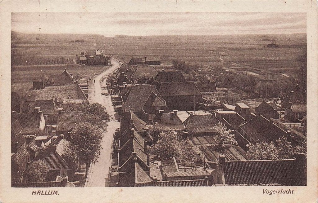 702-121-017 Hallum Vogelvlucht, Verzamelen, Ansichtkaarten | Nederland, Verzenden, Voor 1920, Friesland