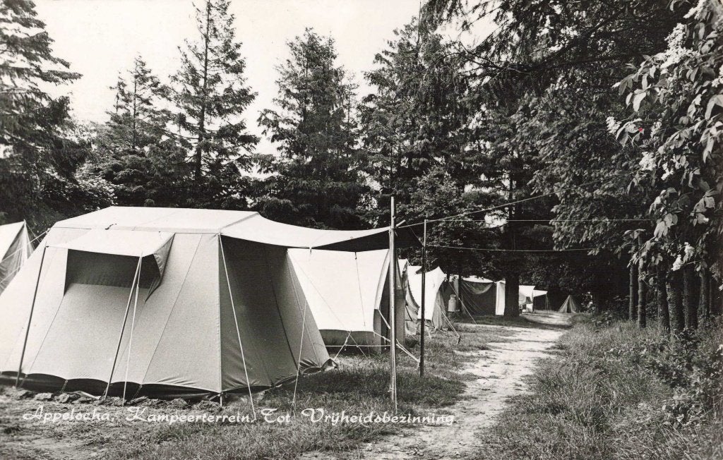 Appelscha Kampeerterrein Tot Vrijheidsbezinning L3098, Ophalen, 1960 tot 1980, Ongelopen, Friesland