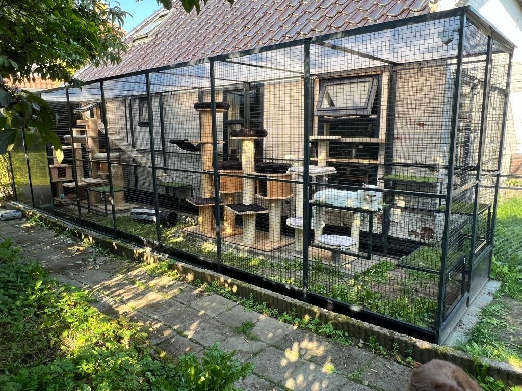 Foto 17 van Kattenverblijf/Kattenren. Nieuw op maat gemaakt. Zie foto's