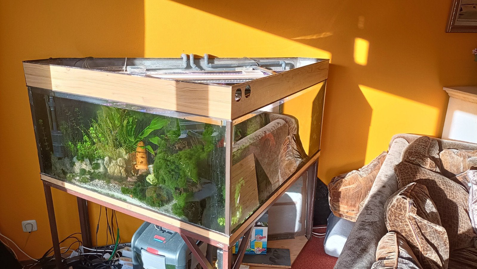 Hoek aquarium 600 liter, Ophalen, Gebruikt