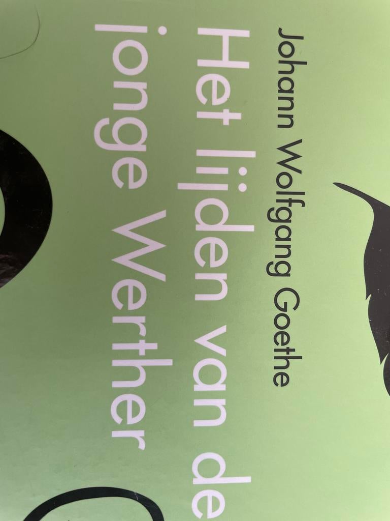 Het lijden van de jonge Werther - Johann Wolfgang Goethe, Boeken, Ophalen of Verzenden, Zo goed als nieuw, Europa overig