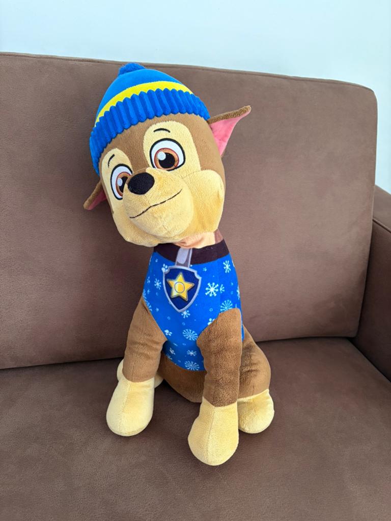 Paw patrol- Nickelodeon, Ophalen, Zo goed als nieuw, Hond